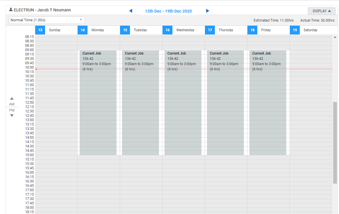 A screenshot of a contractor scheduled in a project.